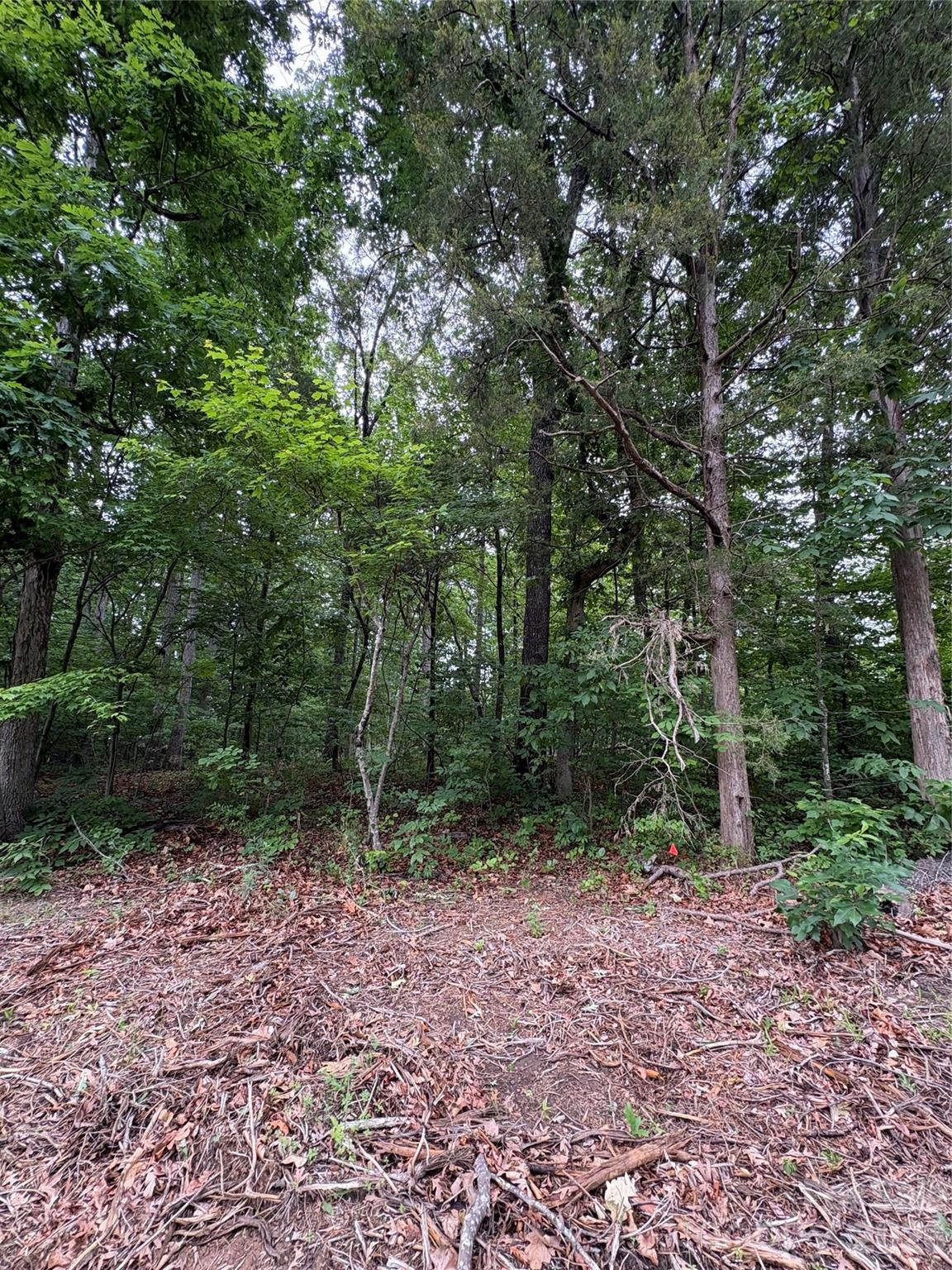 Properties | Kathy Shaffer, REALTOR® in Charlotte, NC 12349 Hartwood Road