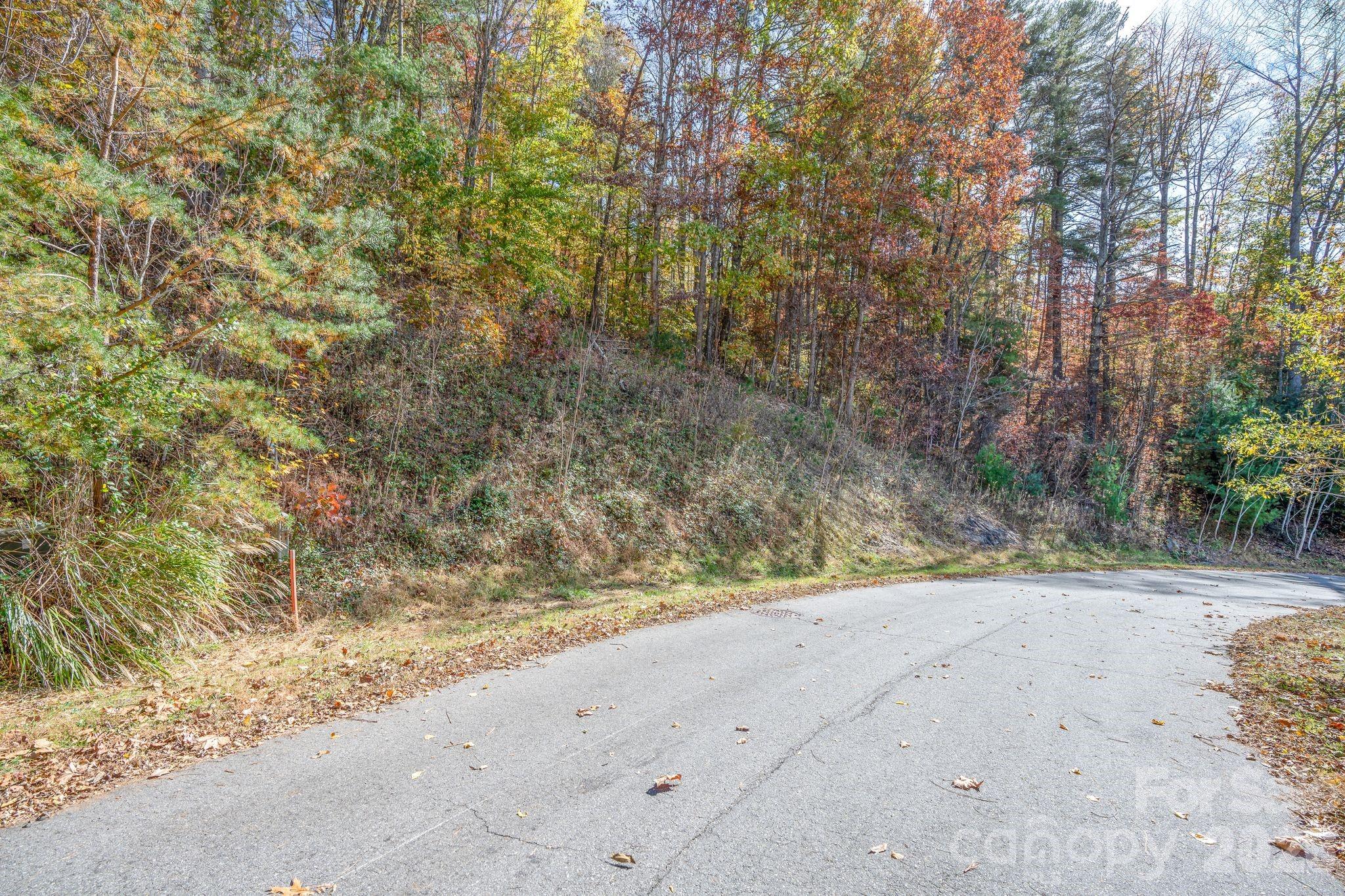 Reems Creek Golf Community - Land