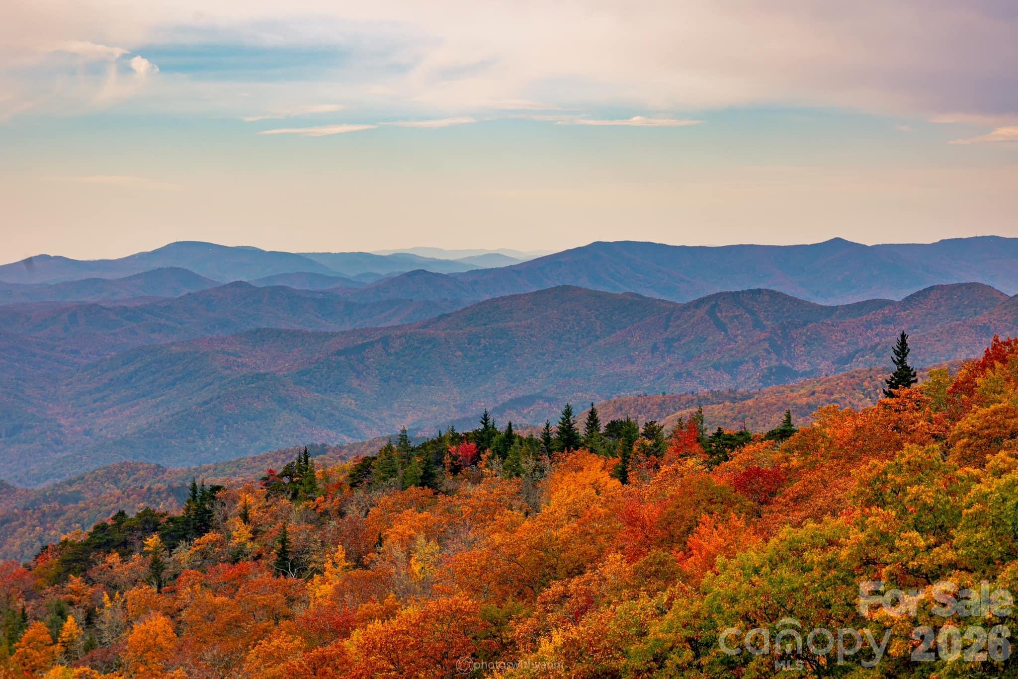 Reems Creek Golf Community - Land