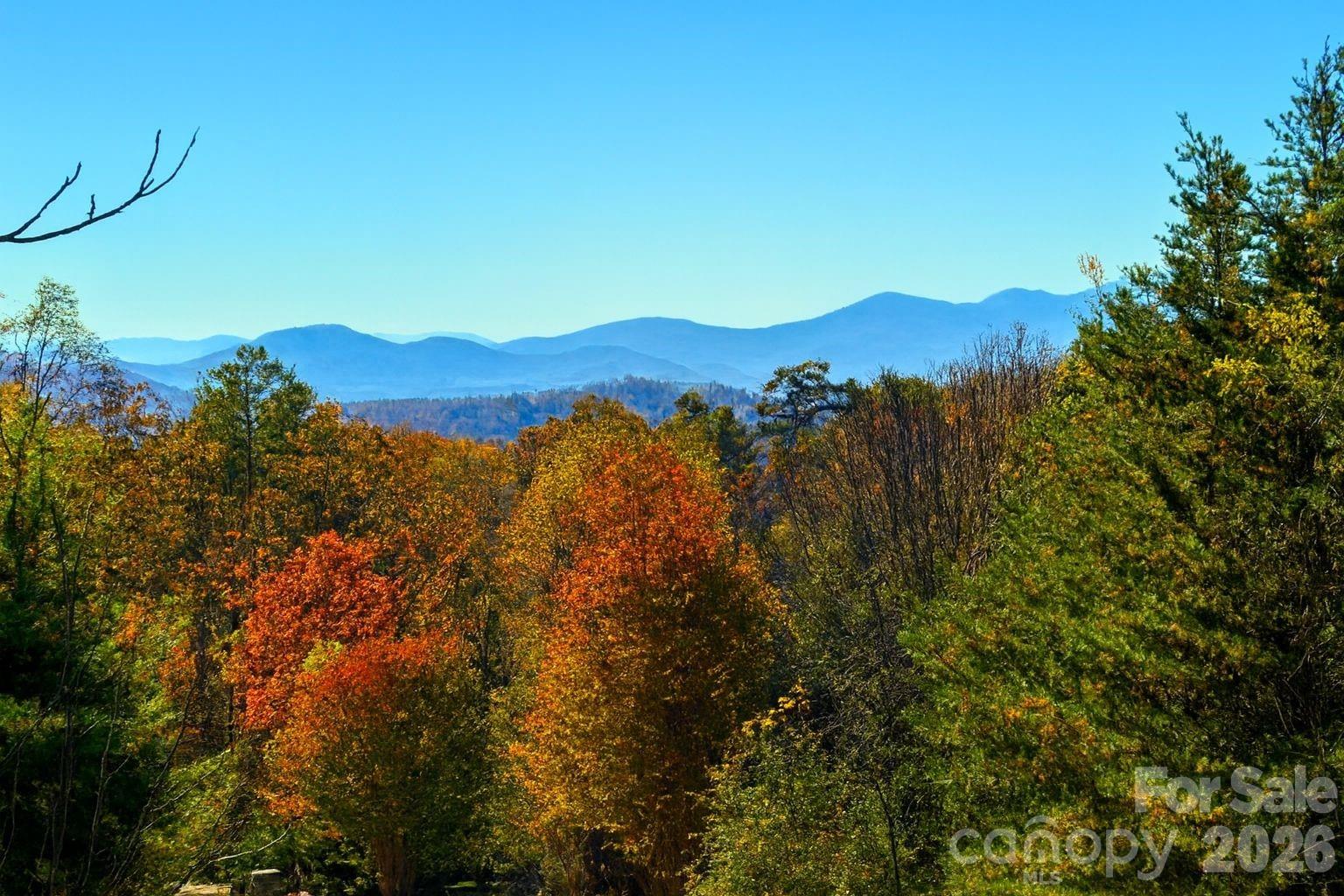 Reems Creek Golf Community - Land