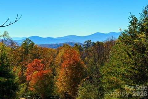 66 HawTree Court 266 Weaverville NC 28787