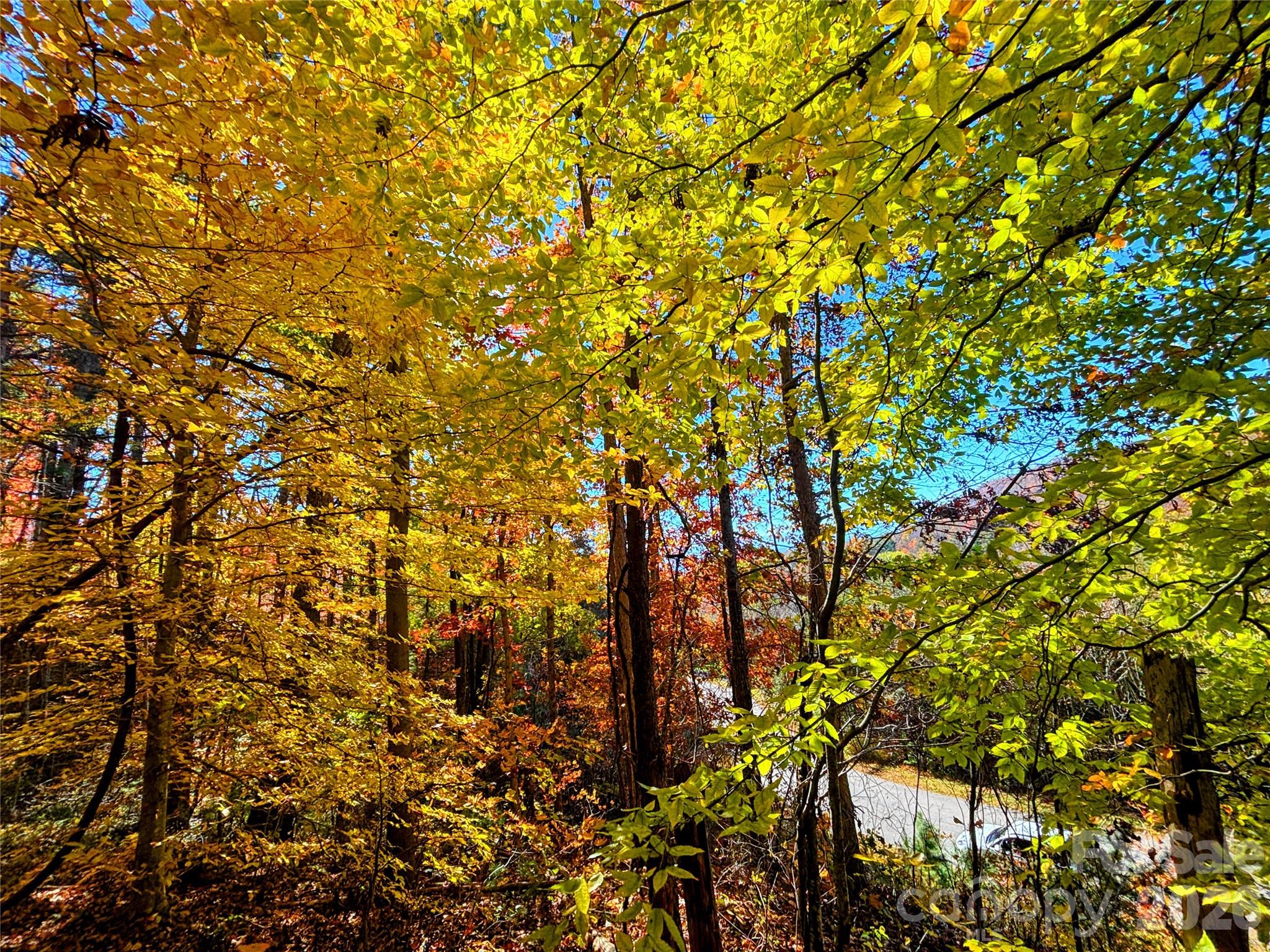 Reems Creek Golf Community - Land