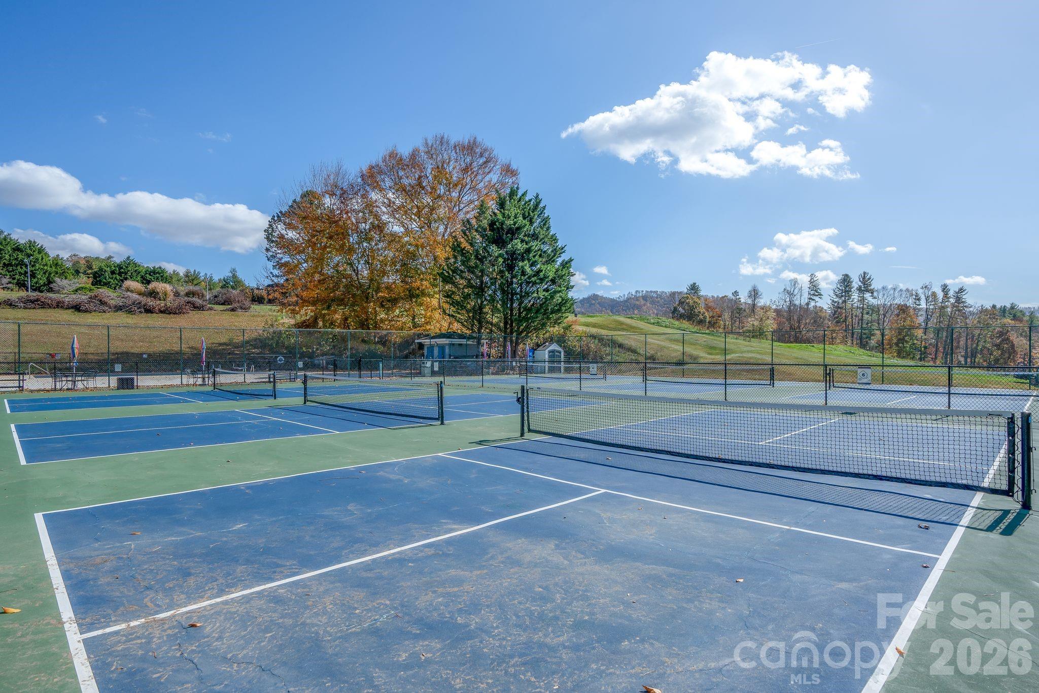 Reems Creek Golf Community - Land