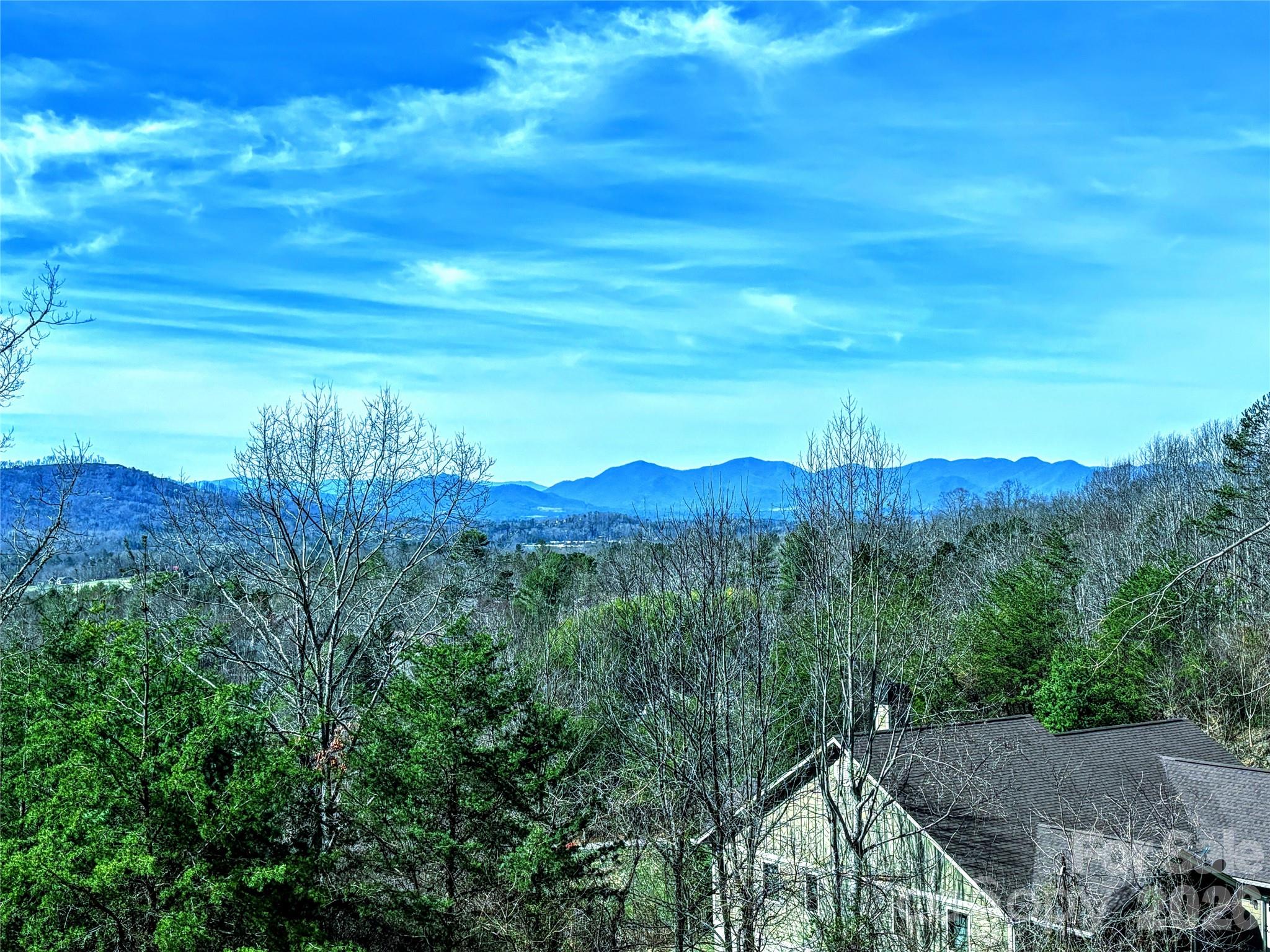 Reems Creek Golf Community - Land