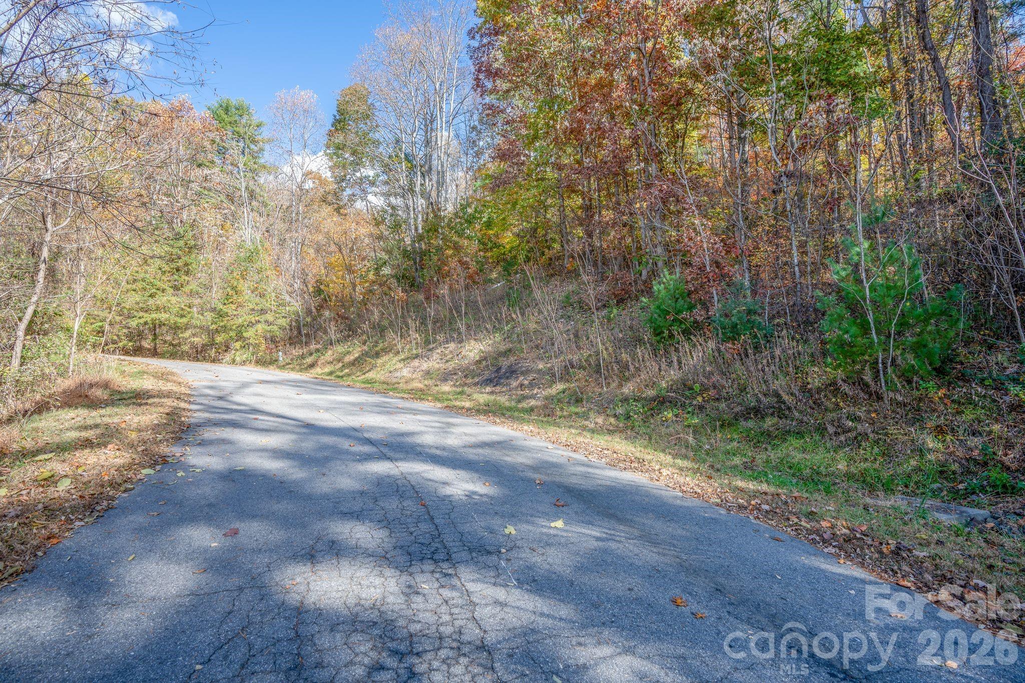 Reems Creek Golf Community - Land