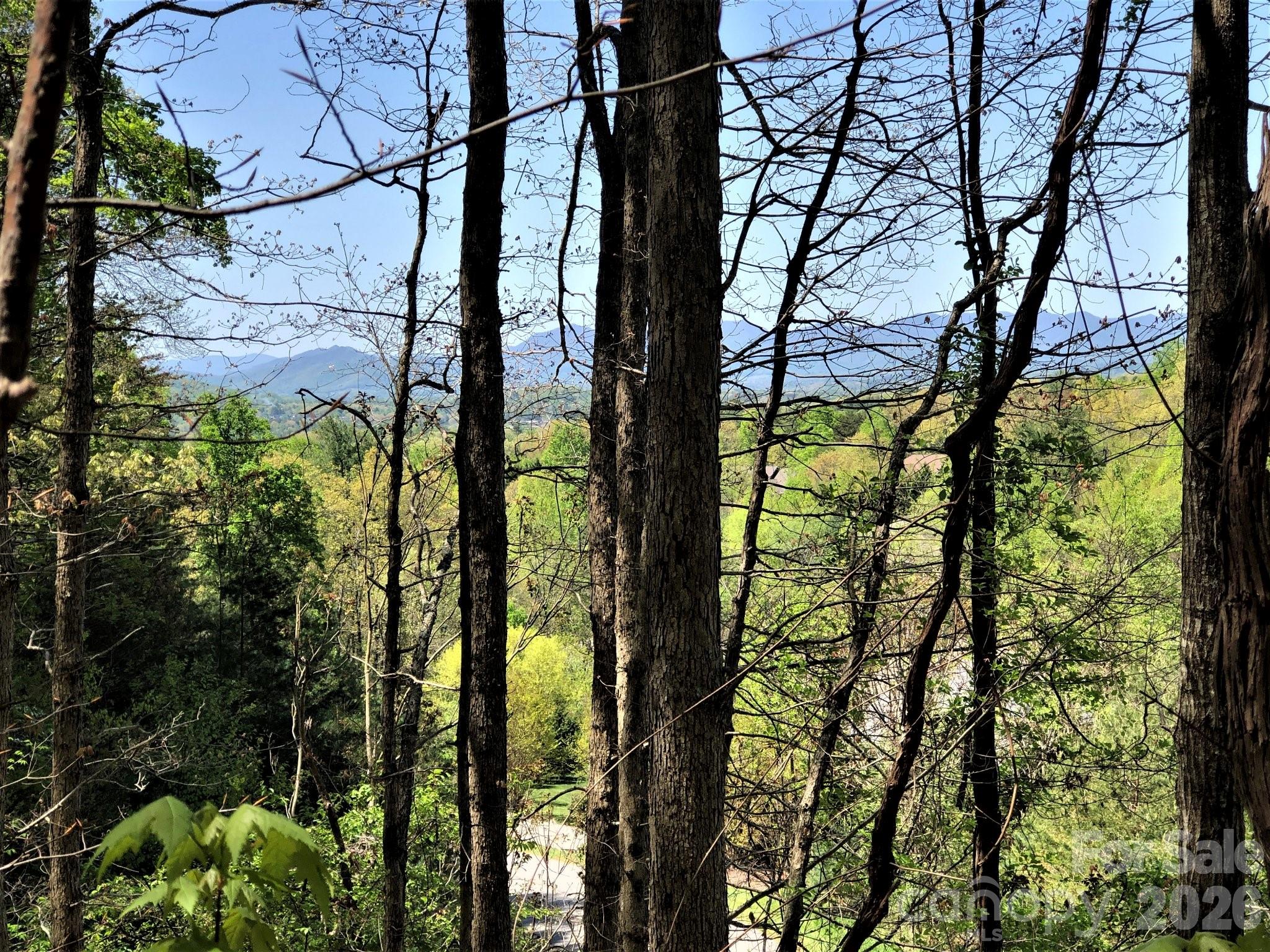 Reems Creek Golf Community - Land