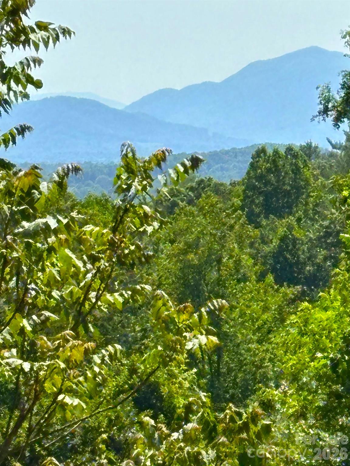 Reems Creek Golf Community - Land