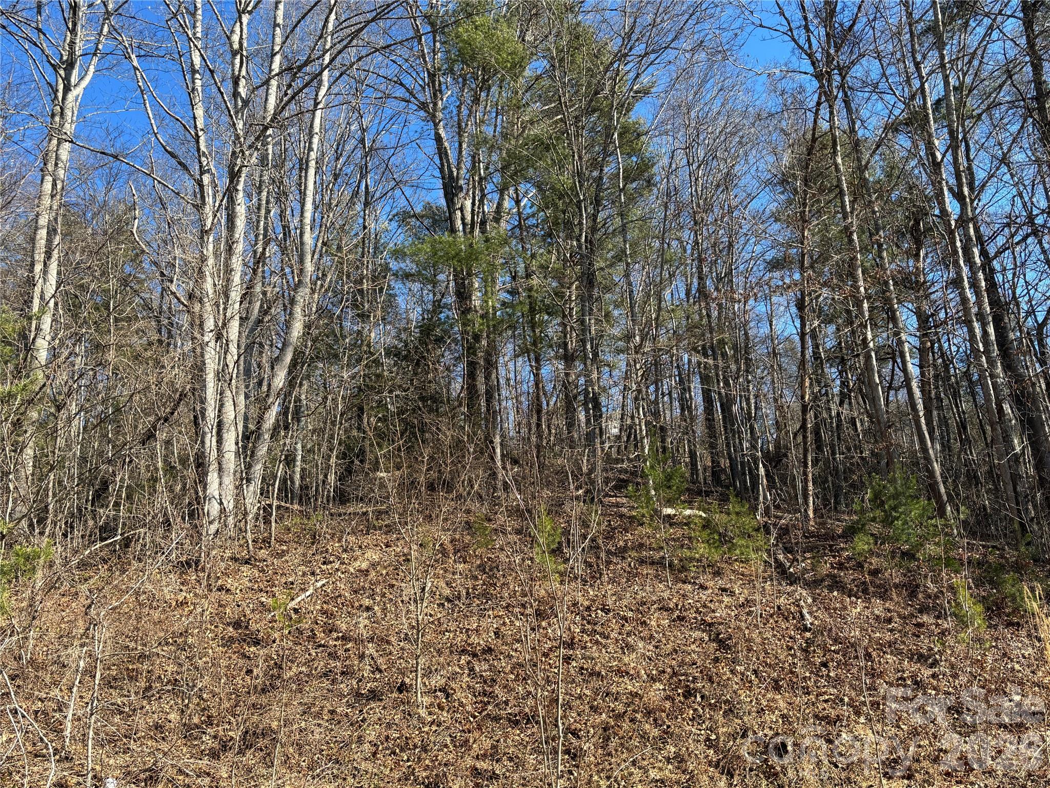 Reems Creek Golf Community - Land
