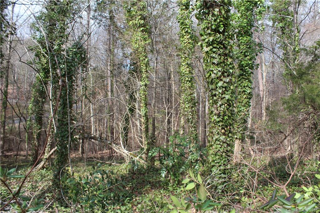 Lebanon Heights - Land