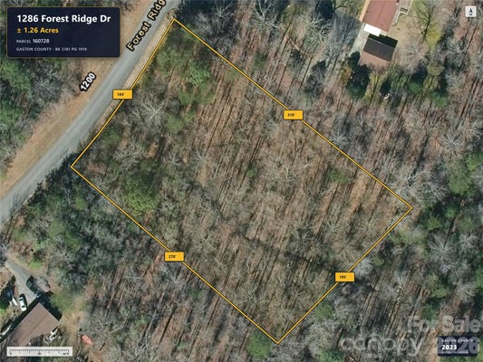 1286 FOREST RIDGE RD, BESSEMER CITY, NC 28016 - Image 45197cf9eee07ea7f0d7c3e3dd3e64bf/2552270468