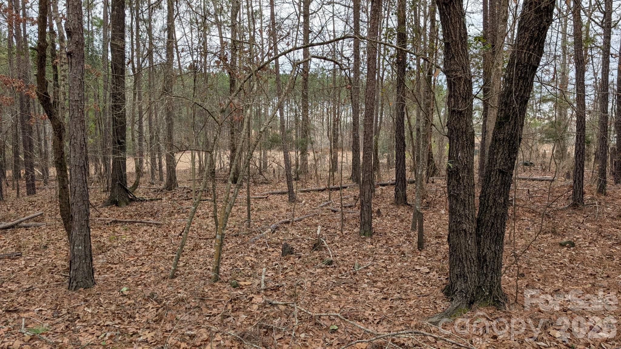 The Woods at Molly Creek - Land