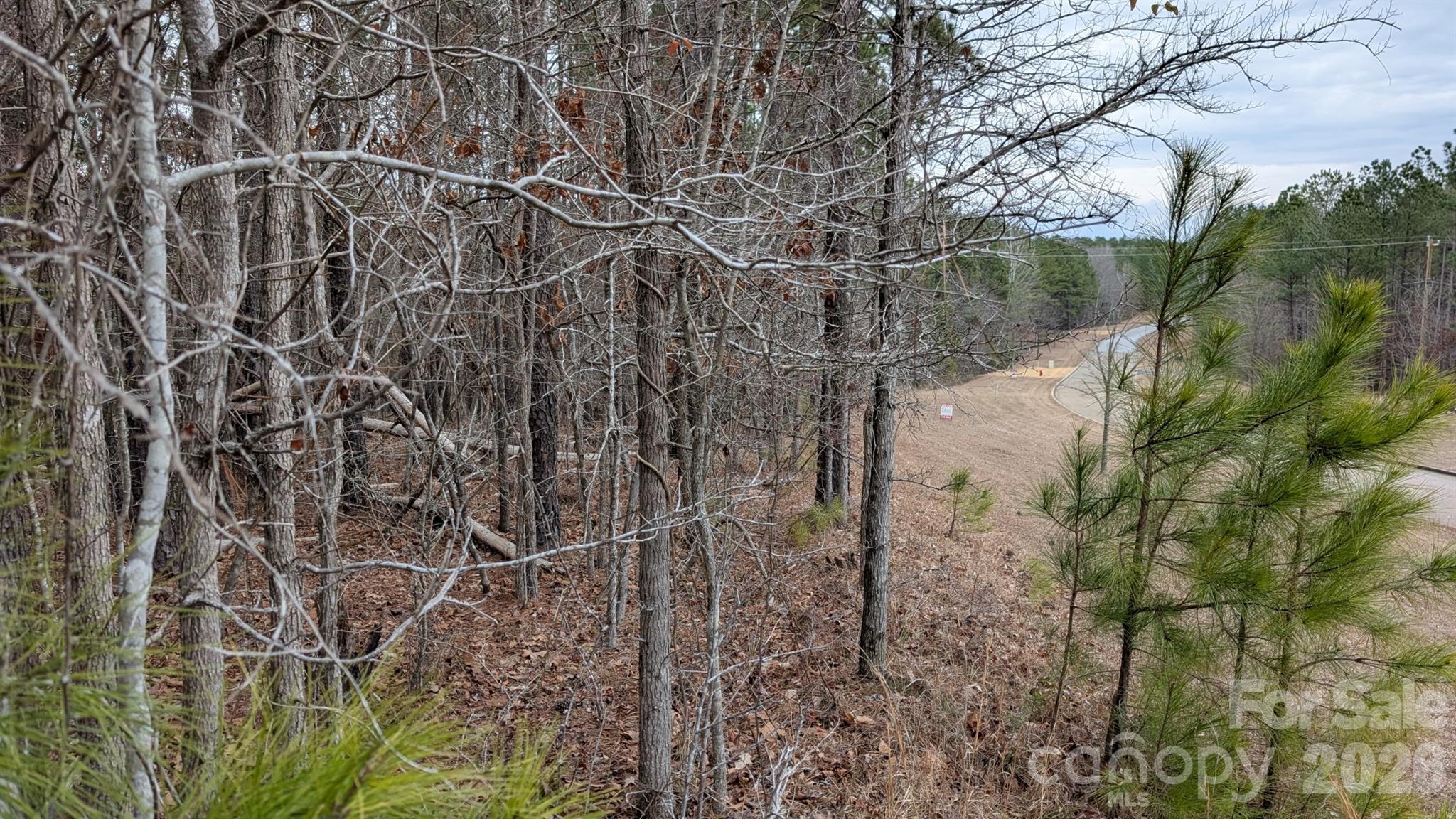 The Woods at Molly Creek - Land