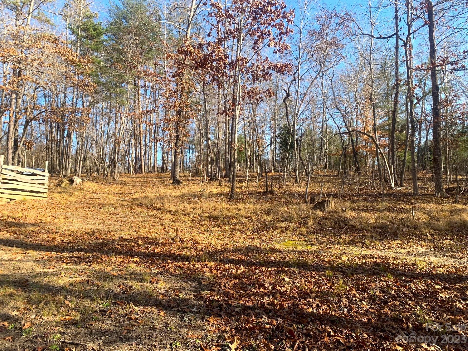 Cove Springs - Residential