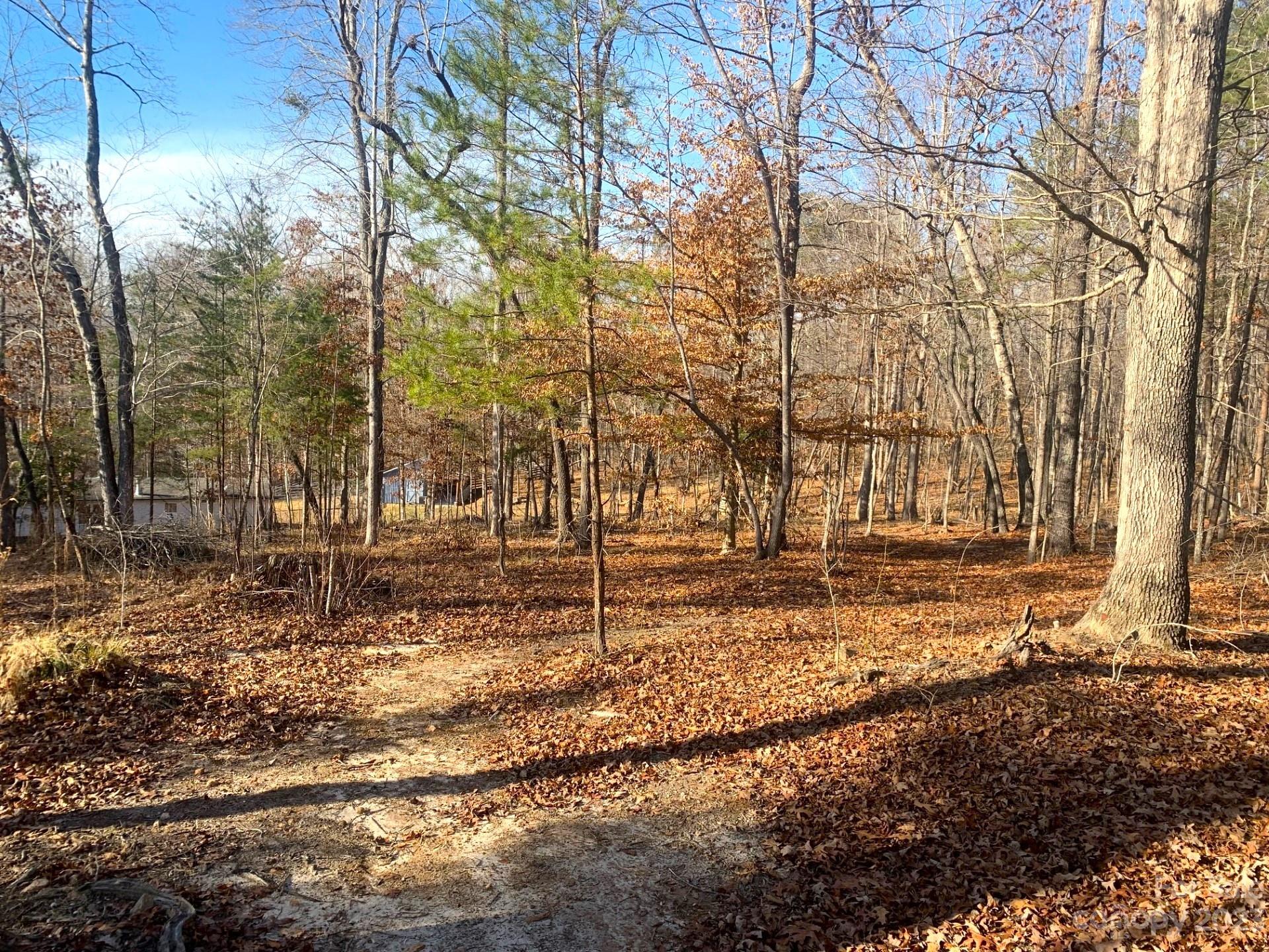 Cove Springs - Residential