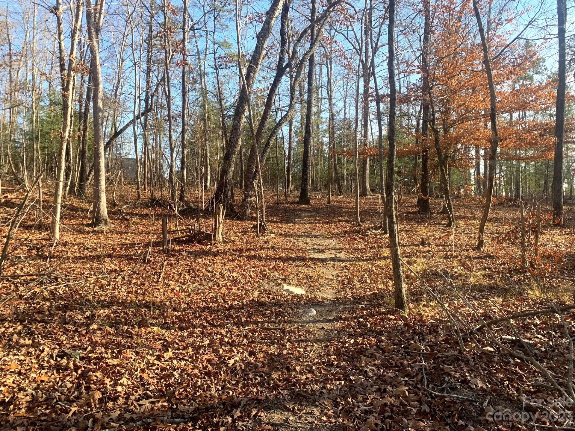 Cove Springs - Residential