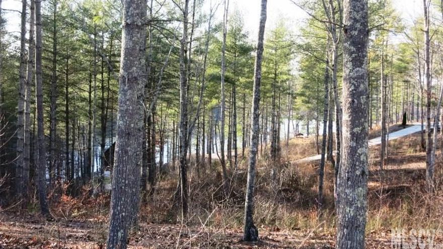 An unbelievable low price for a lake view homesite!  Gently sloping for an easy build.  This property is in the Retreat Section of the community where house size requirement is only 600-1,400 Sq Ft.  Build the little cabin of your dreams or great for those wanting to downsize.  Waterside Amenities include:  • Paved Roads • Electronic Security Gate • Community Boat Slips  • Underground Utilities • Park with Play Equipment, Gazebo & Outdoor Fire pit • City Water • City Sewer • Heavily Landscaped Illuminated Entrance