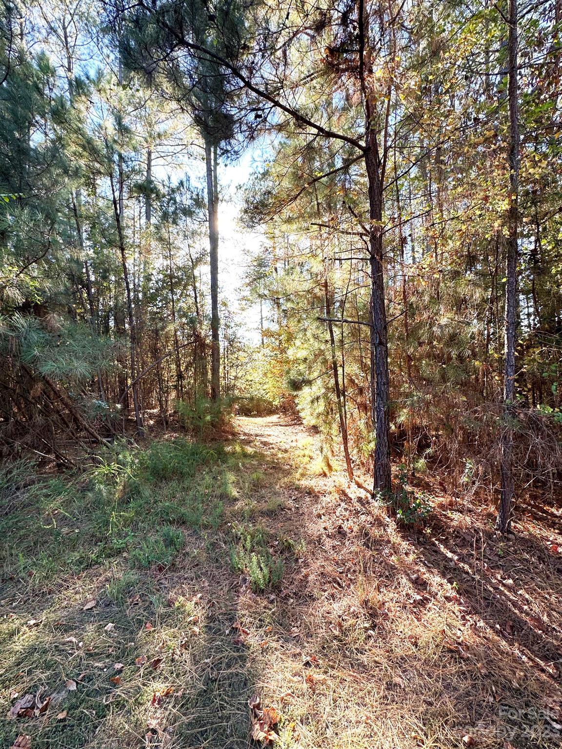 Anchors Landing - Land