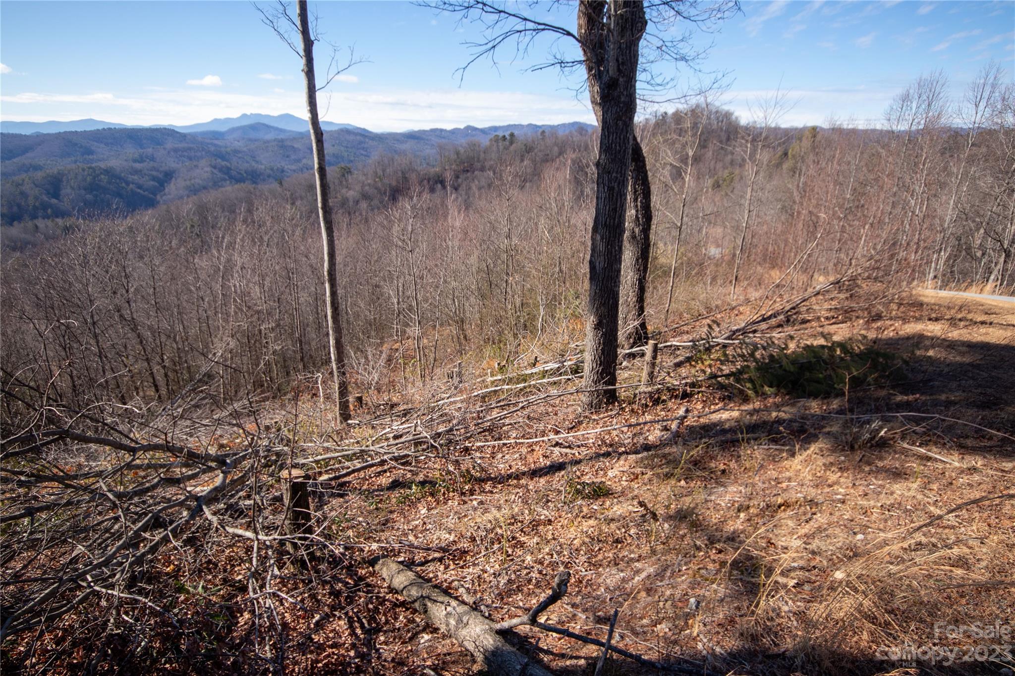 Lot# 137 Fire Crest Lane 137