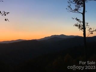 Lot# 137 Fire Crest Lane 137