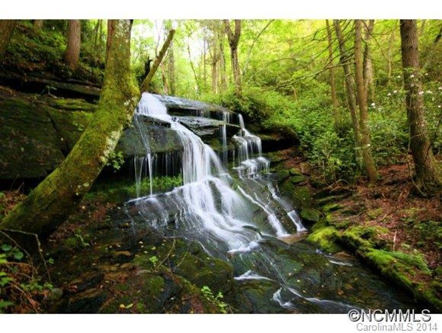 Avalon Falls" a magnificent 200 acre parcel with stunning 40 ft waterfall, private lake, small ponds, bold creeks, multiple building sites, open pasture, and heavily wooded forest. Filled with special rhododendron. This unique opportunity is located just 10 miles to downtown Brevard and Dupont State Forest.