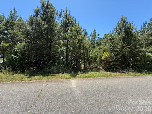 4127 GATEVIEW CT, ROCK HILL, SC 29732 - Image 456ae08c1b95faea94c8342a295f2fd8/94181350