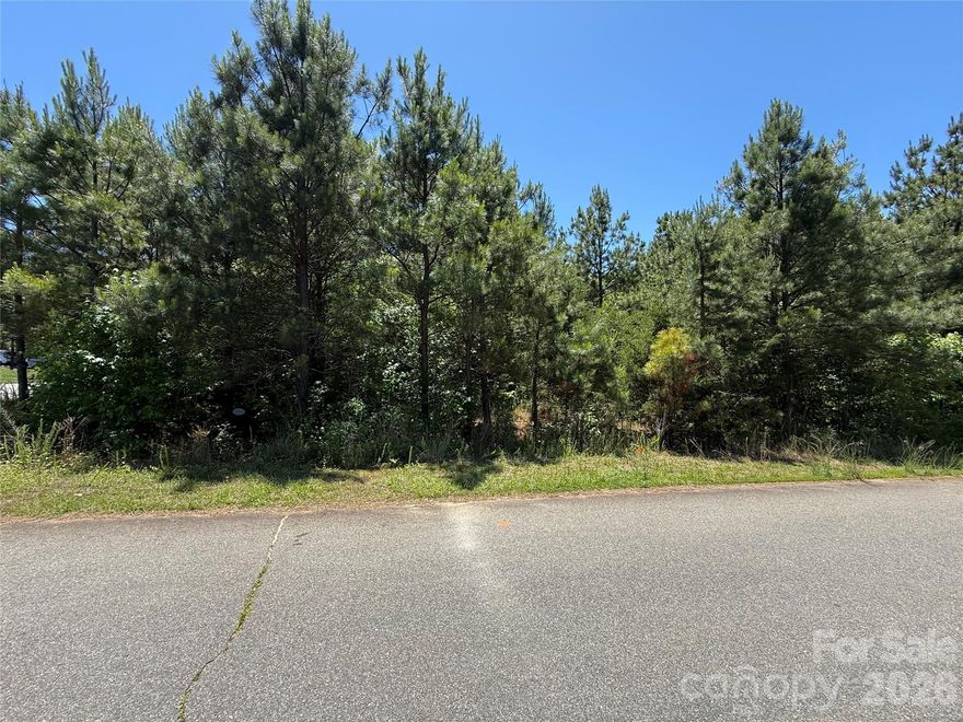 Come view this beautifully wooded and over an acre lot today! Well and septic needed. Square footage requirement 2200 heated plus 2 car garage for ranch or 2300 heated for 2 story with 2 car garage (to be verified.)
