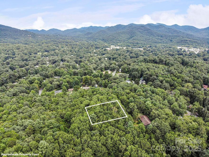 Rare find in Black Mountain - a .71-acre lot that is almost perfectly flat in the town limits! Only 1 mile from downtown Black Mountain, this in-town lot has access to public water/sewer. Covenants are reasonable and focus mainly on road maintenance and quality of construction. Enjoy wooded privacy and winter mountain views from this exceptional building lot, with plenty of room for a guesthouse or detached structure. This land has been in the same family for over 100 years and has never been on the market before! Recently, 3 lots were subdivided out of a larger tract and annexed into the Town of Black Mountain. Lot 3 has sold. Lots 1 and 2 are available.