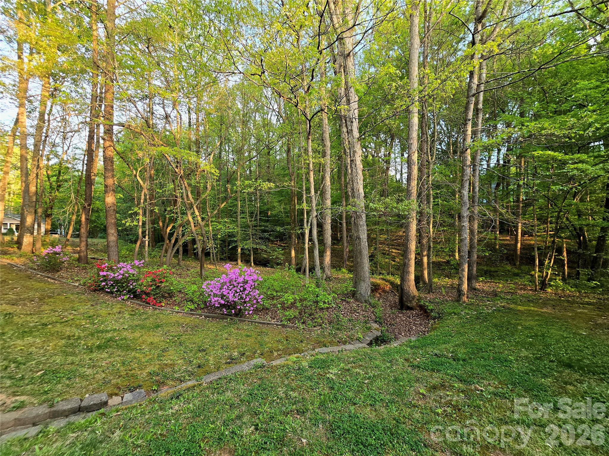 146 Misty Spring Road