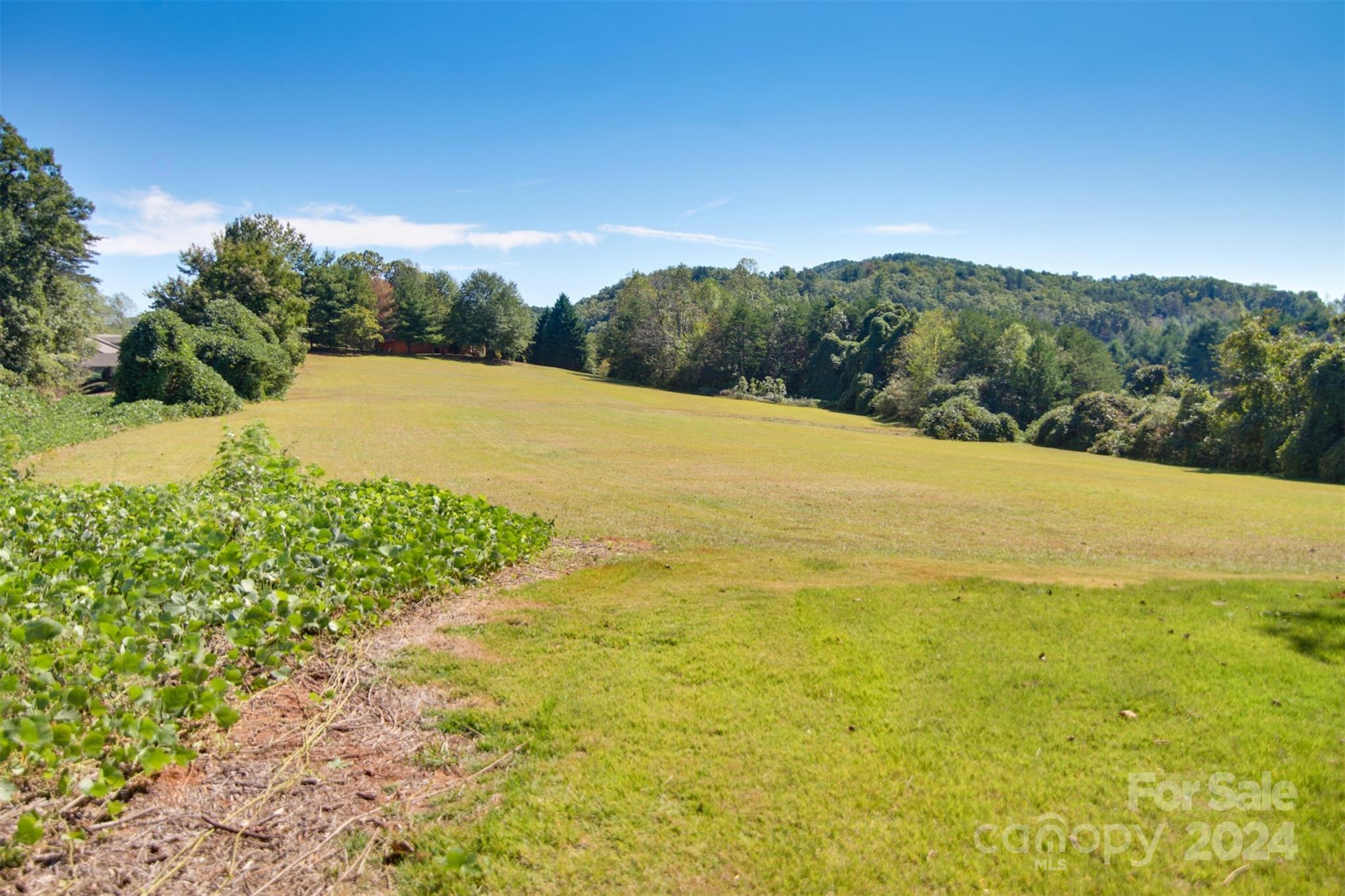 Lot 13 Buffalo Creek Road 13