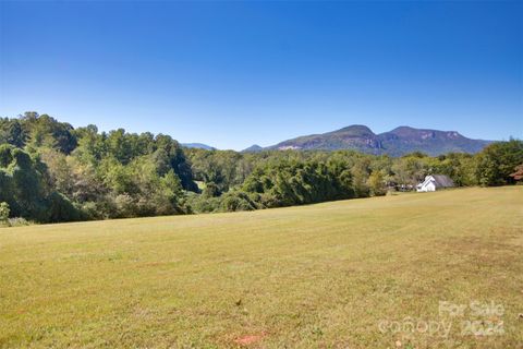 Lot 13 Buffalo Creek Road 13 Lake Lure NC 28746