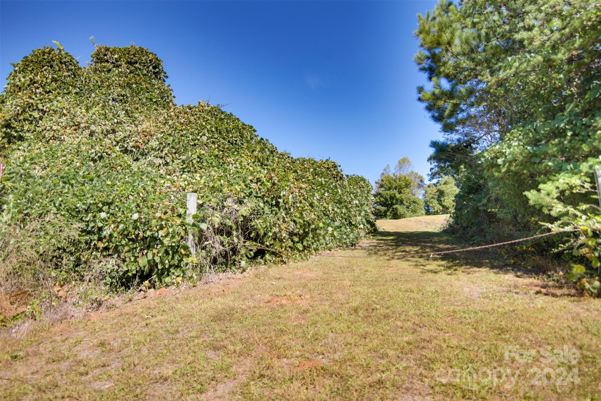 Lot 13 Buffalo Creek Road 13