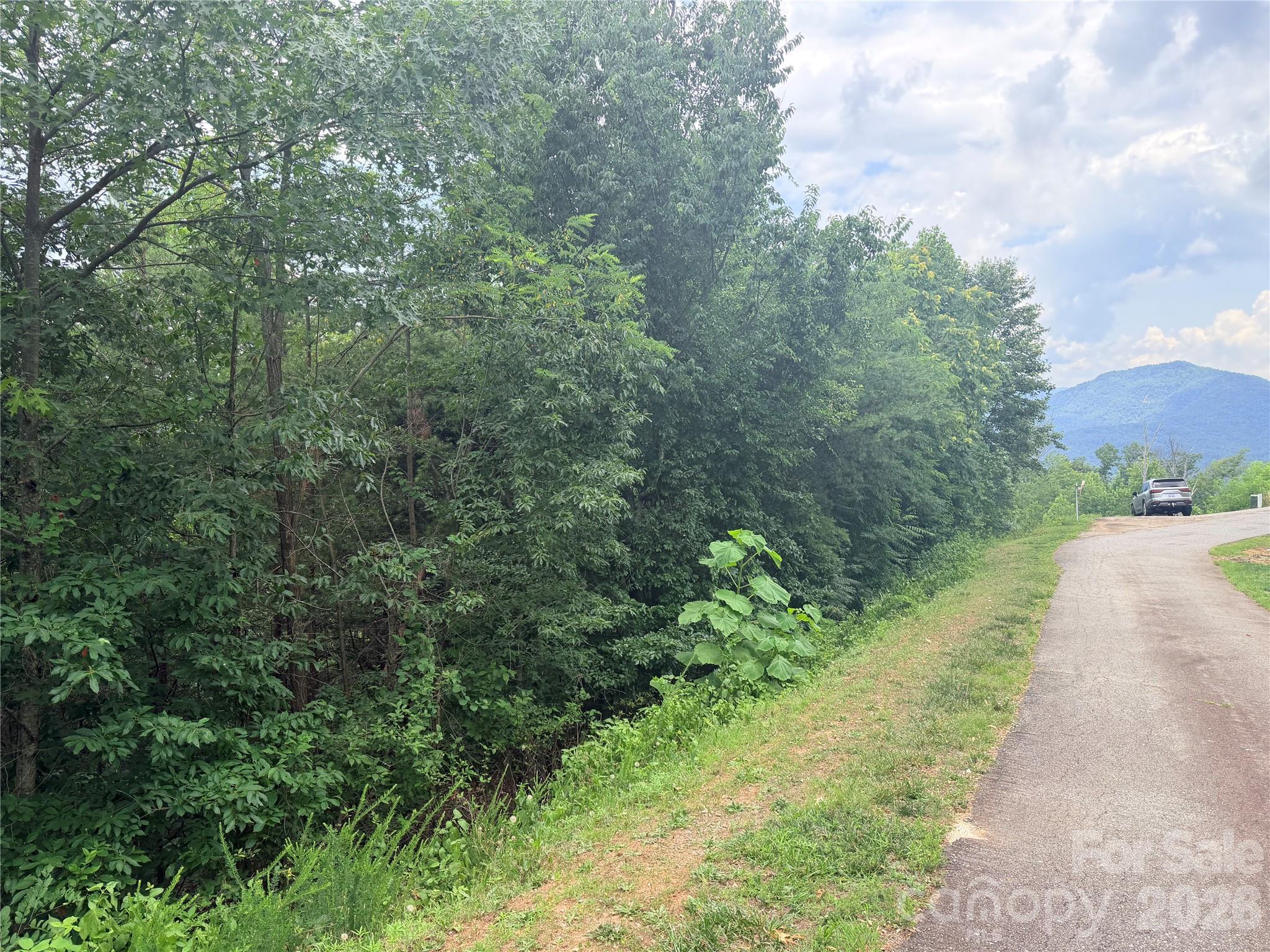 0 Golden Ridge Drive 133