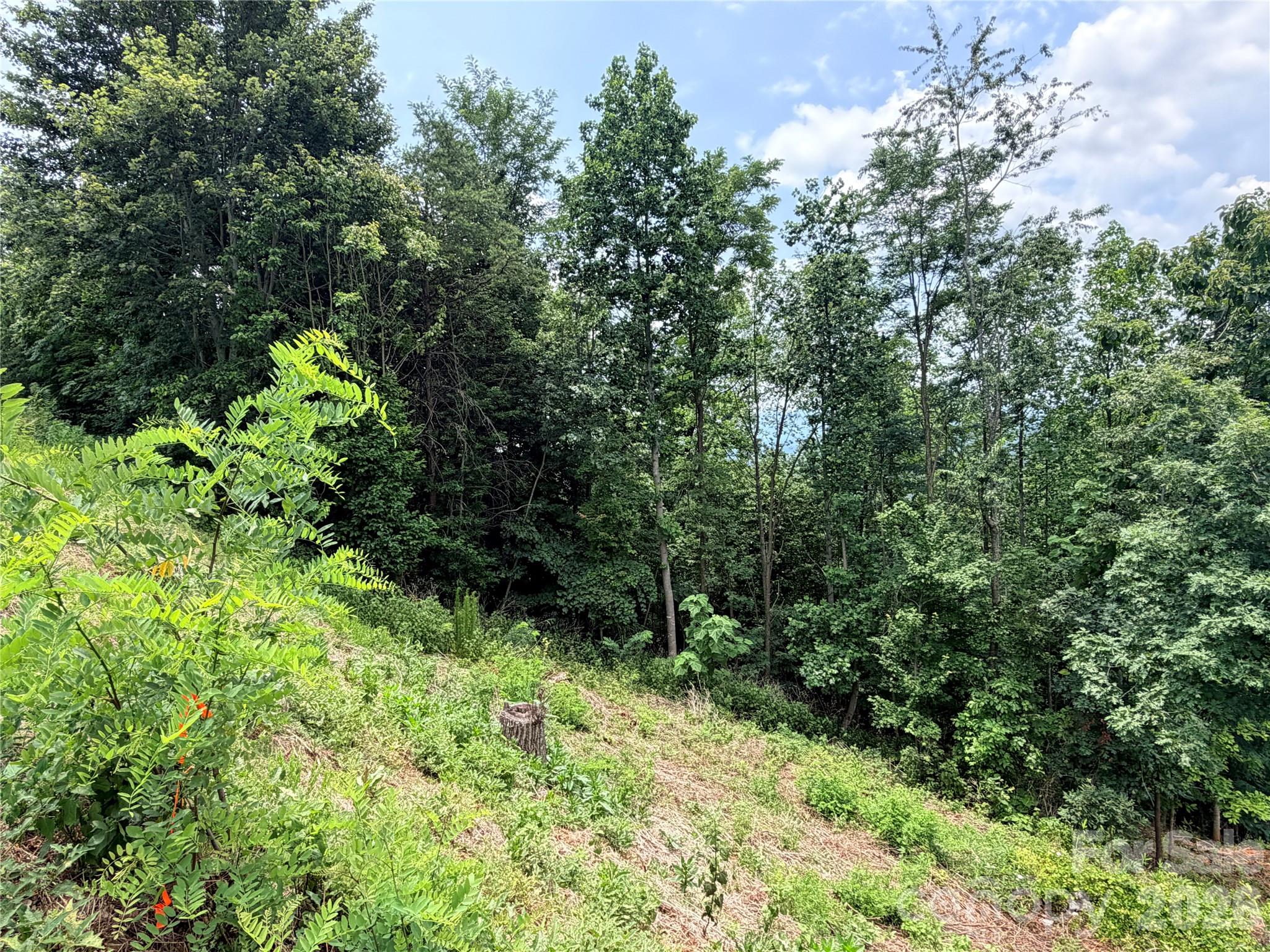 0 Golden Ridge Drive 133
