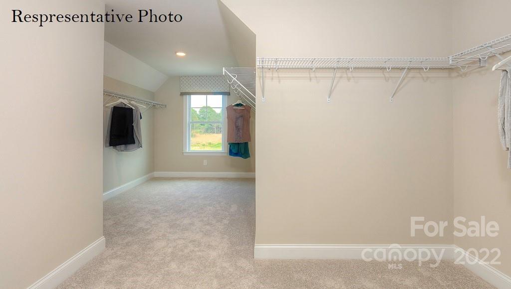 Avondale - Residential