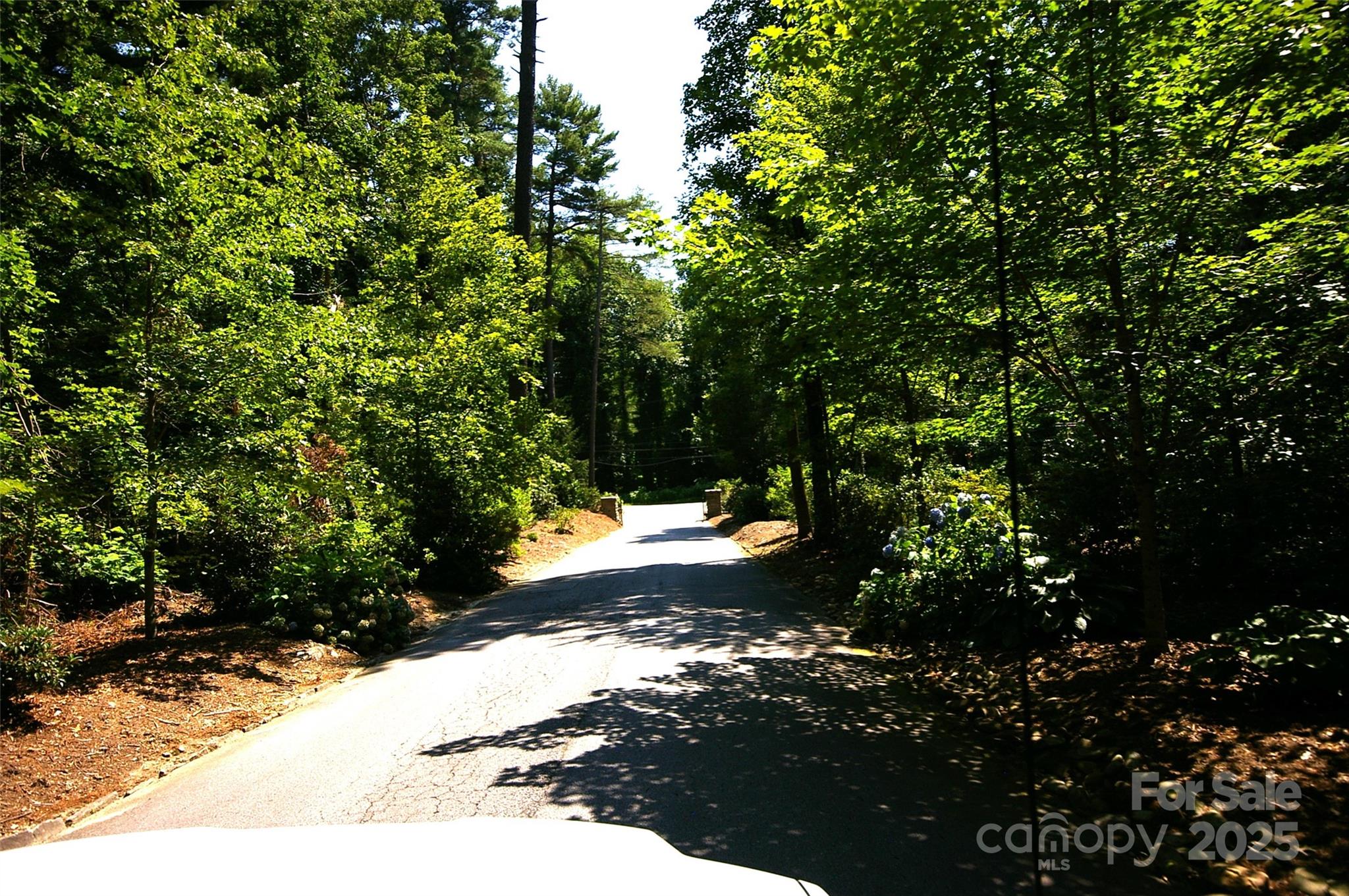 390 Sherwood Drive