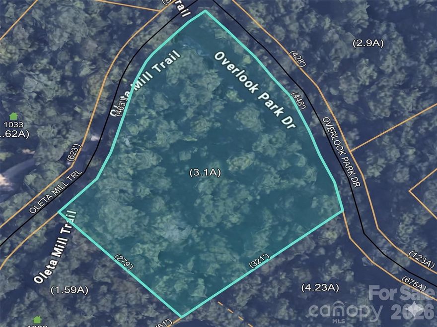 Escape to the extraordinary in Hendersonville’s premier gated sanctuary. Nestled within the coveted community of Oleta Falls, this exceptional 3.1-acre corner lot offers the ultimate canvas for your custom dream estate. Positioned perfectly for a walk-out basement, the topography allows for maximum architectural creativity, featuring dual paved road frontage on Oleta Mill Trail and Overlook Park Drive for flexible driveway access.

With selective clearing, unlock stunning year-round mountain views framed by mature hardwoods. Beyond your private acreage lies a nature-lover's paradise: 100 acres of preserved common area, miles of private hiking trails, an historic-style covered bridge, and the community’s crown jewel—a majestic 40-foot waterfall.  Residents enjoy elite amenities, including a lodge-style clubhouse, fitness center, and a beautiful outdoor pool, and a vibrant social calendar, all just 15 minutes from historic downtown Hendersonville. This isn’t just a homesite; it’s a lifestyle upgrade.