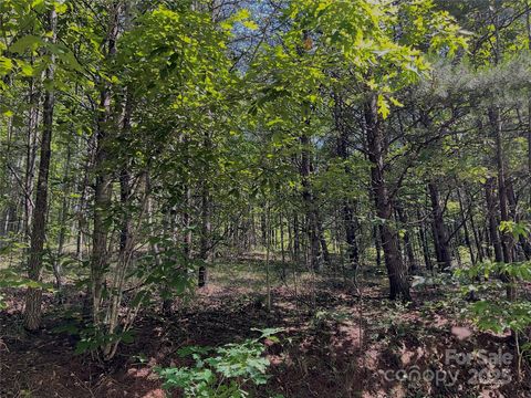 0 Freemantown Road Lake Lure NC 28746