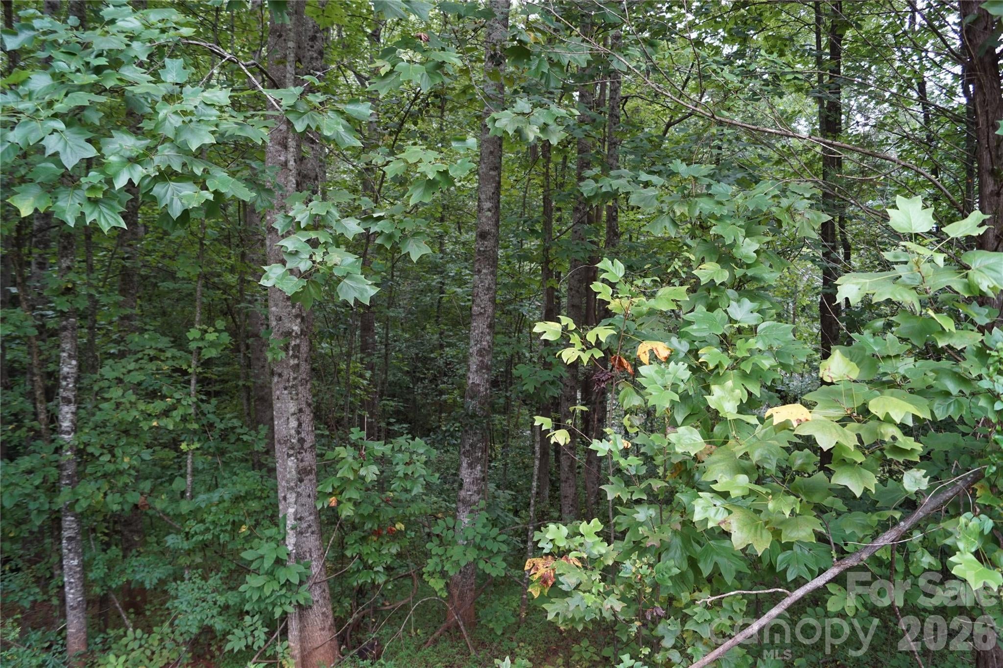 1139 Mckay Road