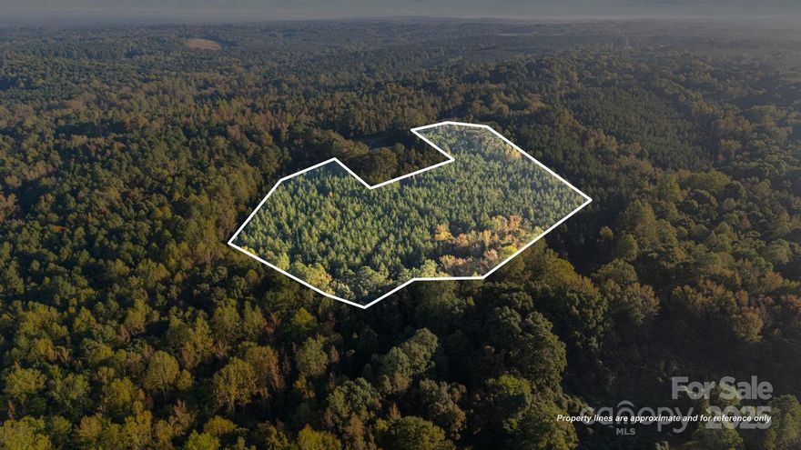 Who’s looking for land to hunt or build their next home? This 15.01-acre tract was surveyed in 2012 and offers privacy, habitat, and room to roam. Beautiful ~18-year-old pines provide great cover and future potential, and there’s approximately 956 feet of creek frontage along the back of the property—an ideal wildlife corridor and a peaceful natural buffer. Property lines are still marked for easy viewing. Bring your boots and come walk it to choose your perfect homesite or set up your stands.