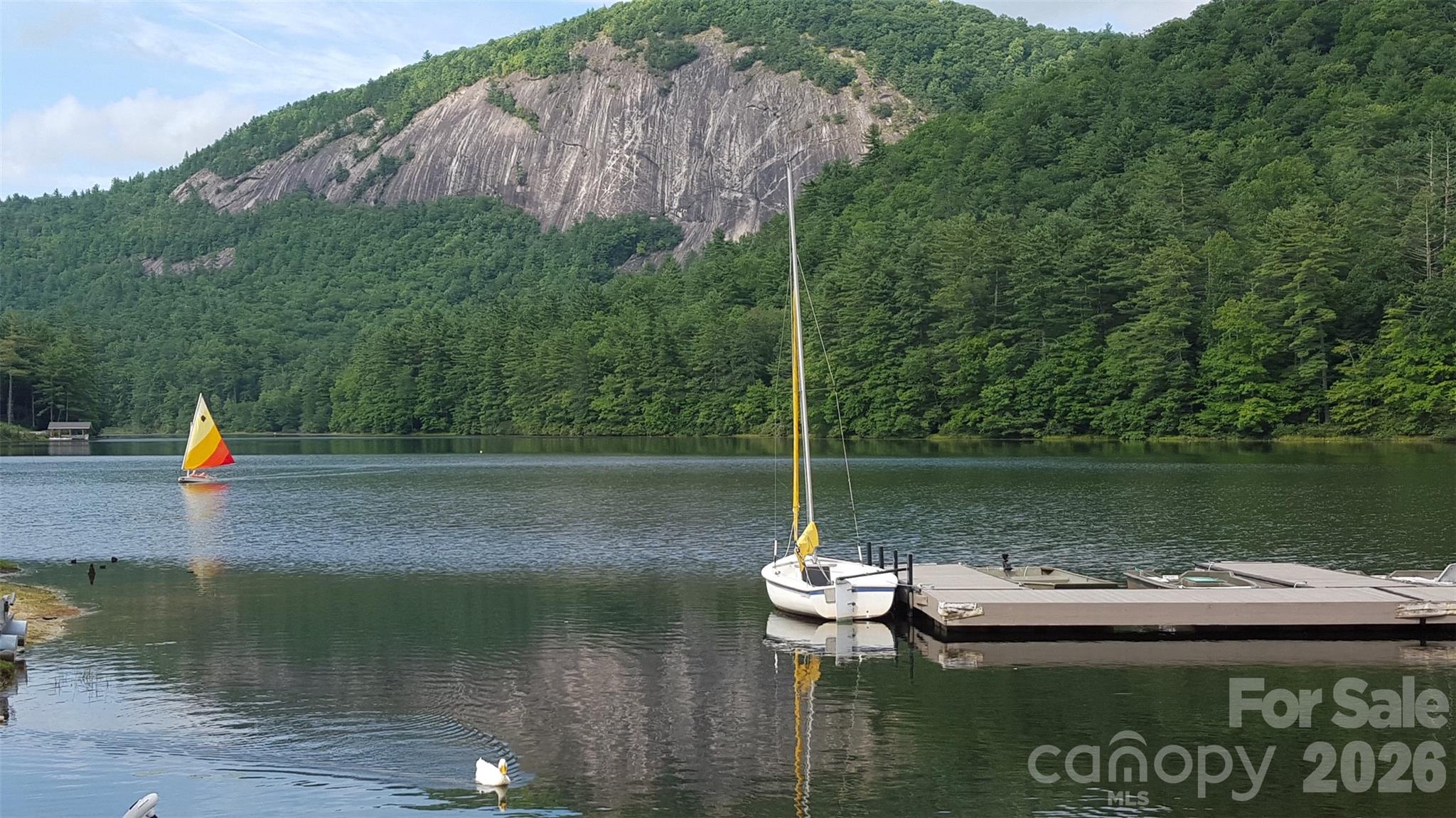 Holly Forest - Residential