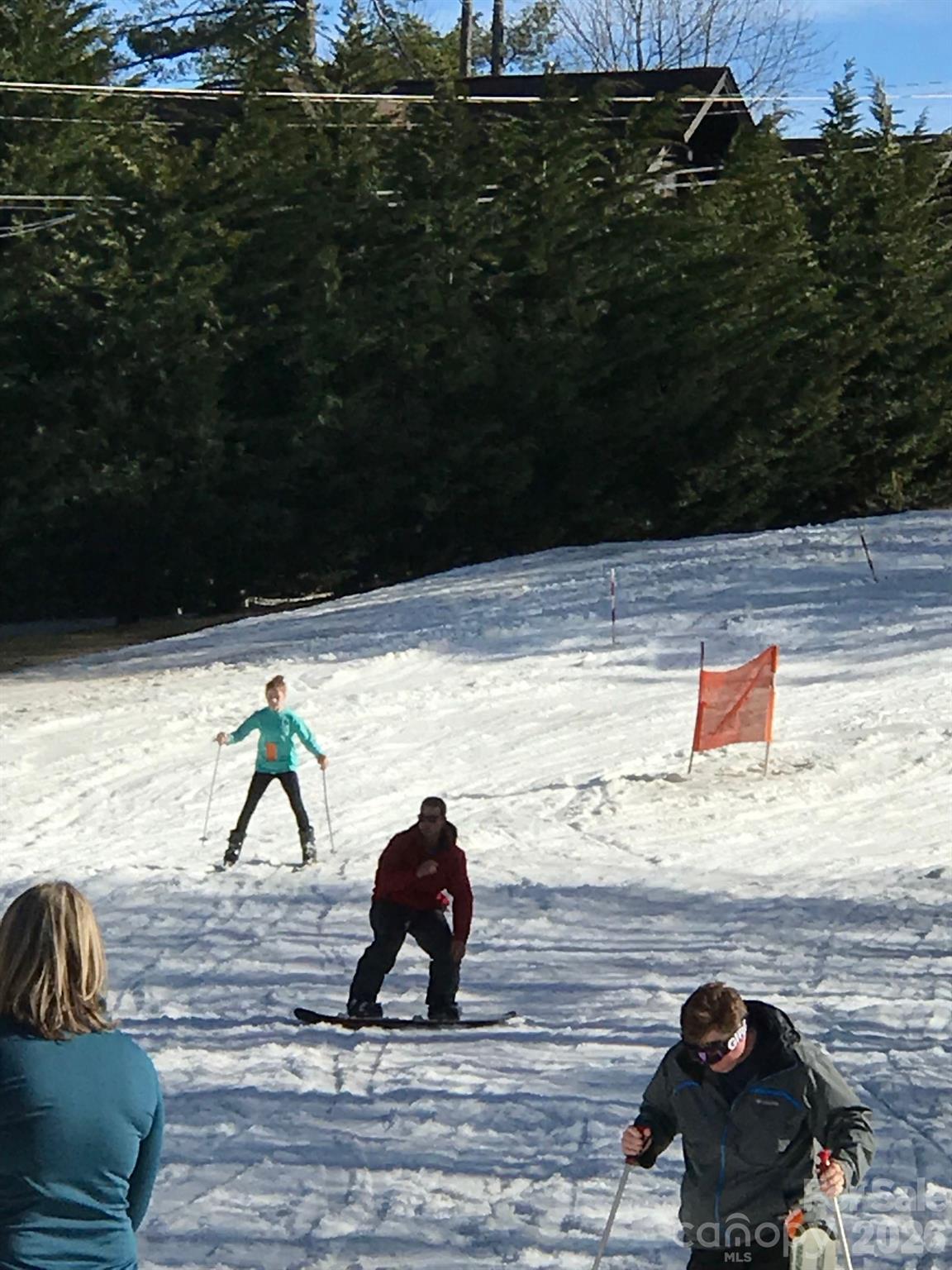 Holly Forest - Residential