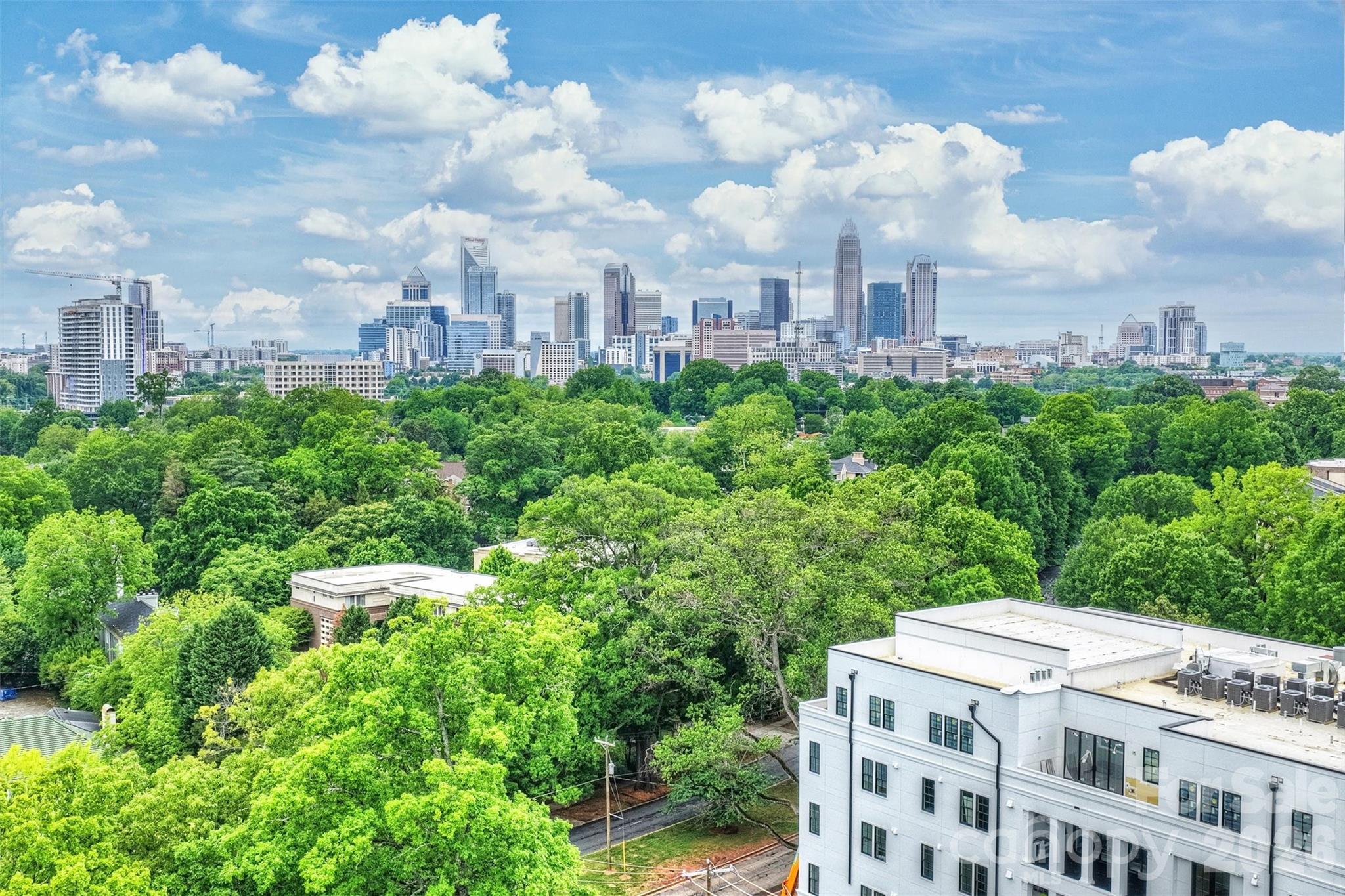 Myers Park - Residential