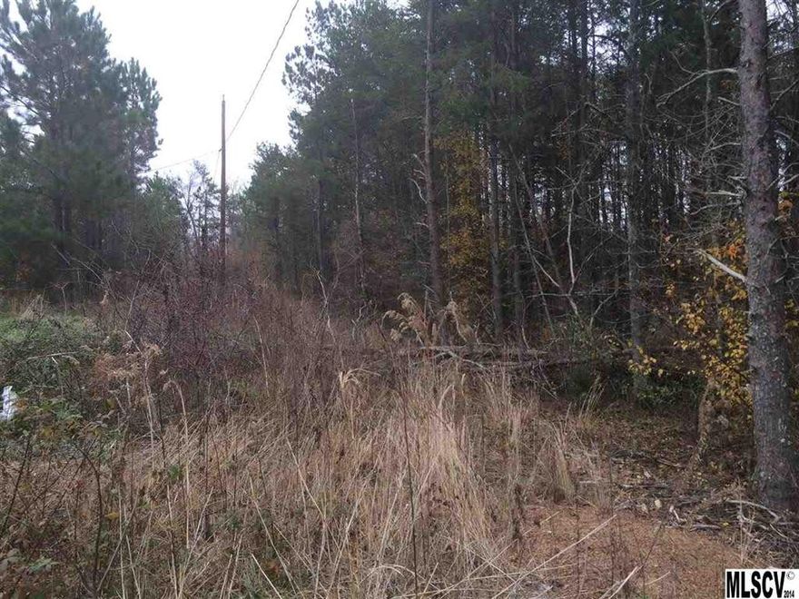 This land would make a great home site.  It will be partially cleared in the near future.