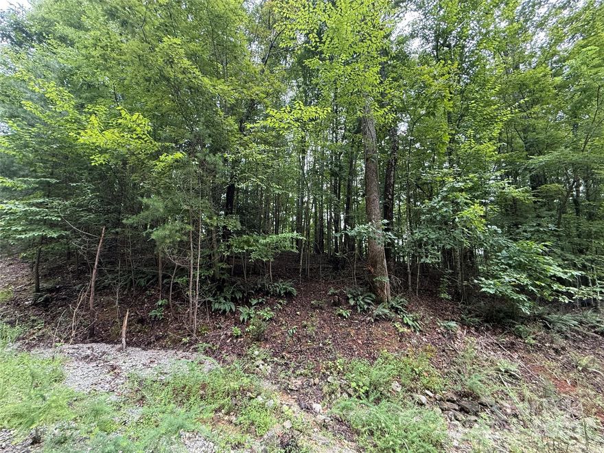 Tucked away in a serene, wooded setting, this 1.20-acre lot offers the perfect blend of privacy and possibilities. With no HOA, you'll have the freedom to design and build your dream- whether its a full time residence or a peaceful weekend getaway. Surrounded by nature, the property provides a great building spot and the tranquility of a private retreat, yet remains within a reasonable drive to amenities. A rare find for those seeking both seclusion and flexibility. Call today for your showing! Lot 110 is also available if more land is wanted.