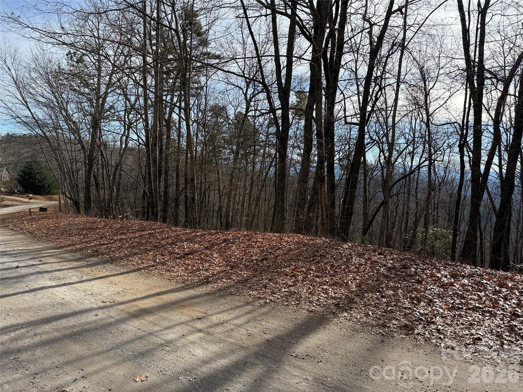 Buck Mountain - Land