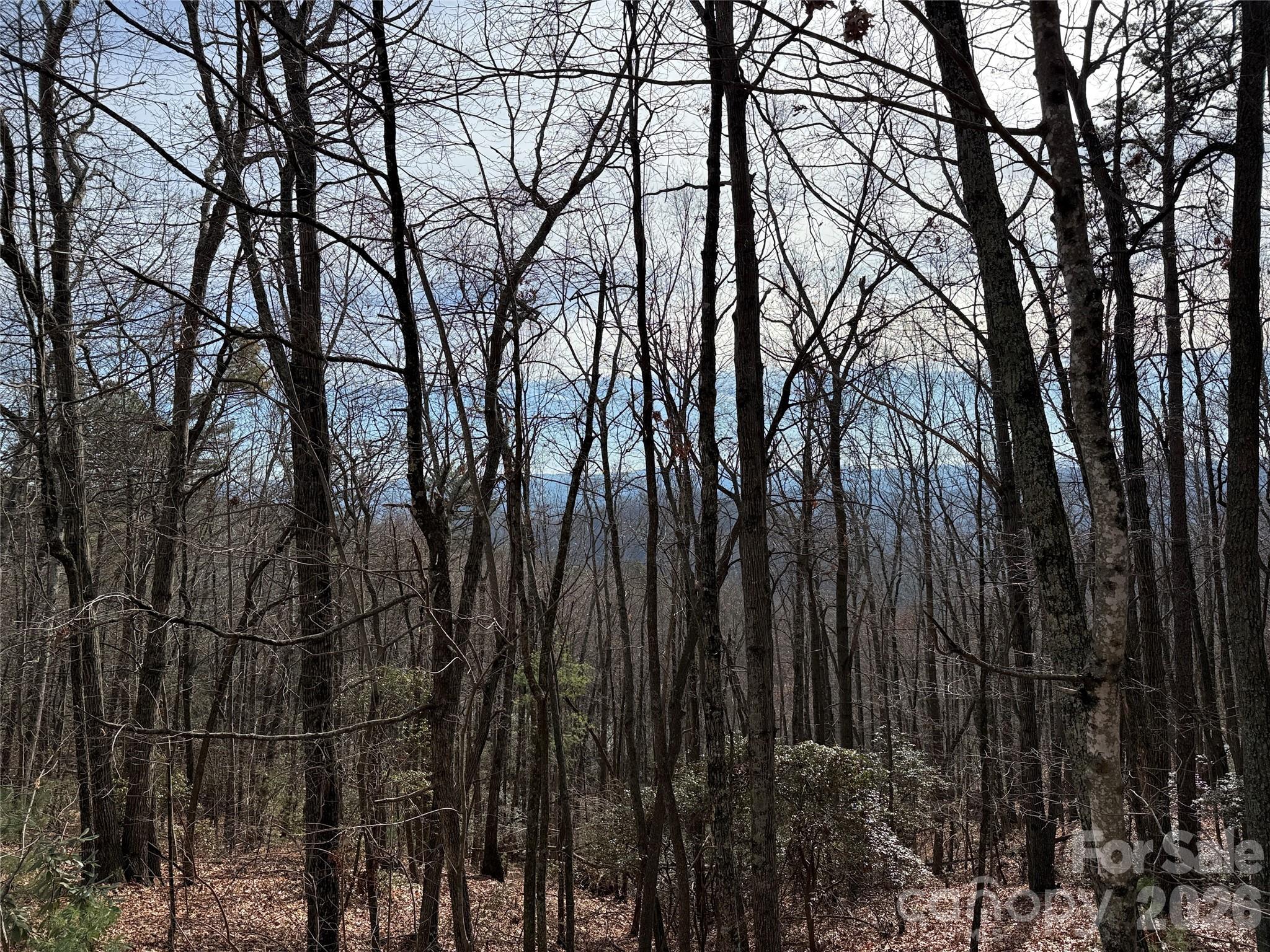 Buck Mountain - Land