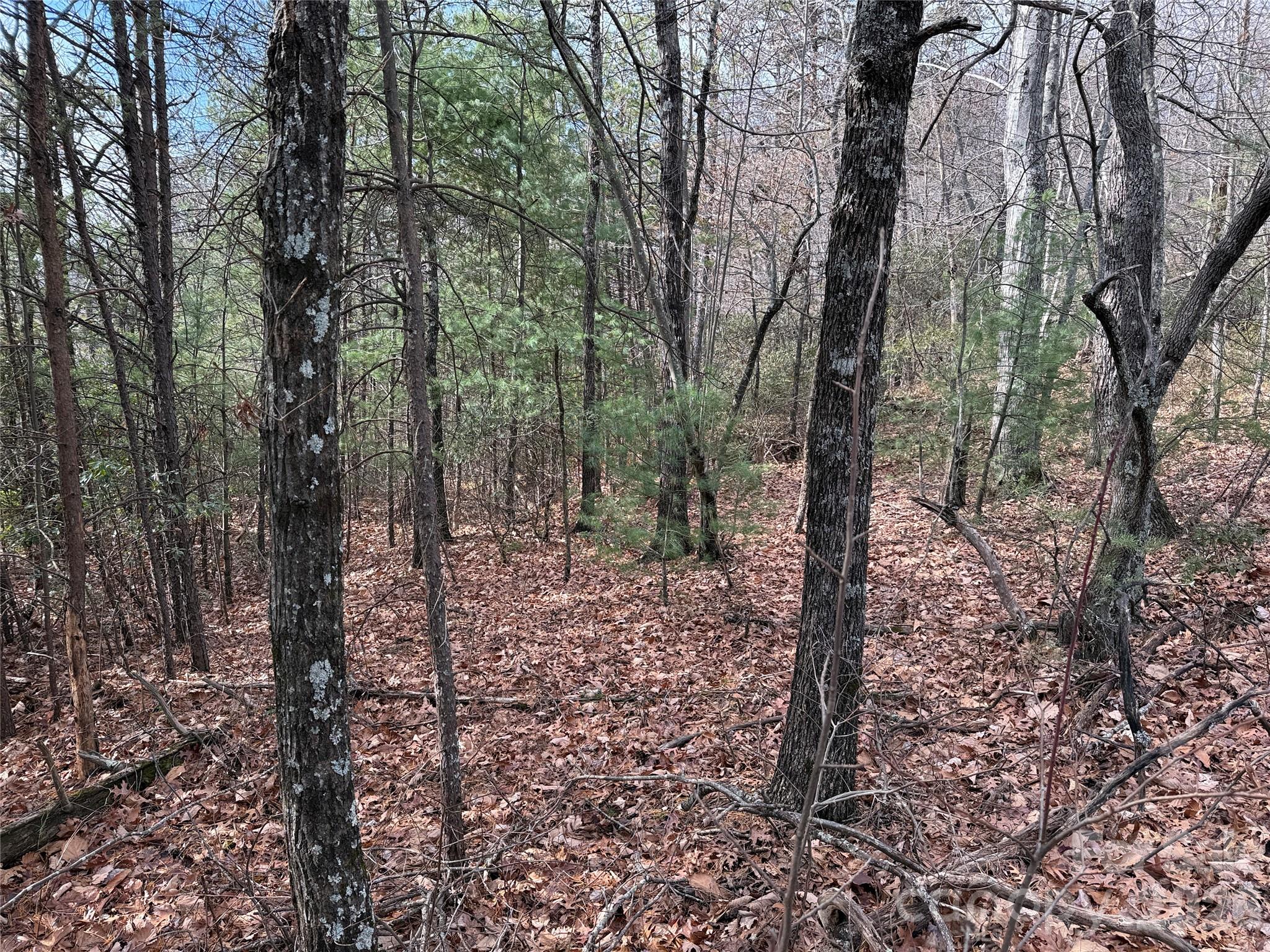 Buck Mountain - Land