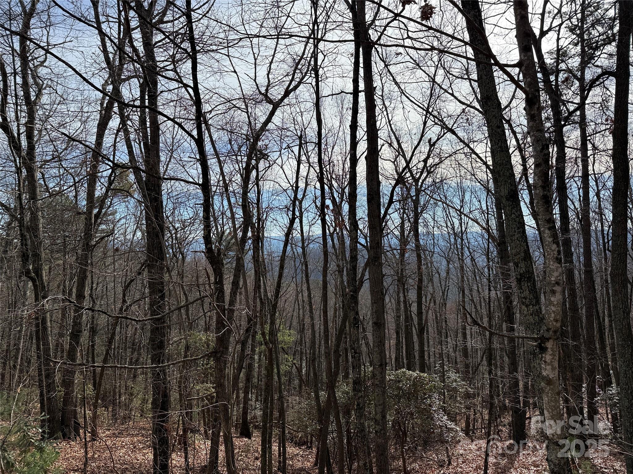 TBD Bobcat Mountain Road 36