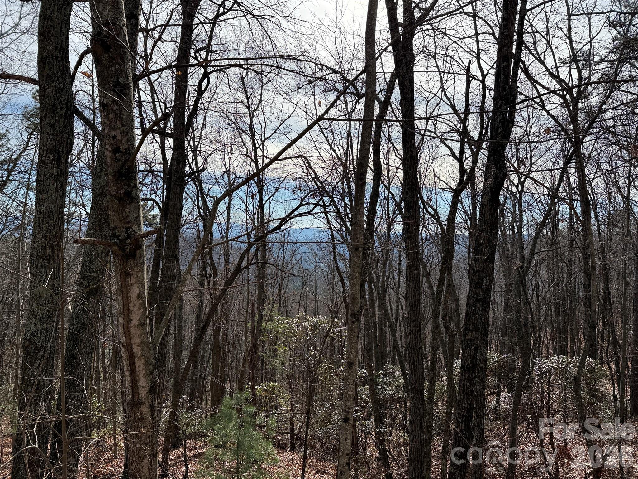 Buck Mountain - Land