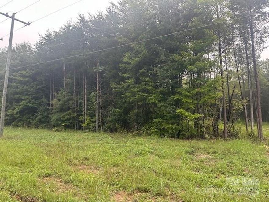 Are you looking for a large lot in private restricted subdivision? Barndominium or single family home allowed with NO HOA!  Mostly level partially cleared, includes a survey and approved 3BR septic permit. Convenient to Hwy 150 and Hwy 16, shopping and close to Lake Norman access area.